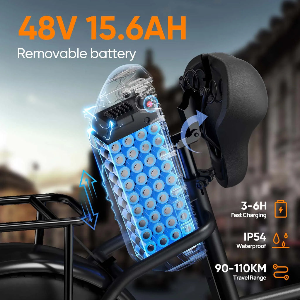 Vélo électrique URLIFE 250W