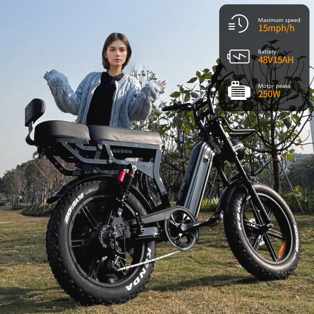 Vélo Électrique VTT 250W 48V