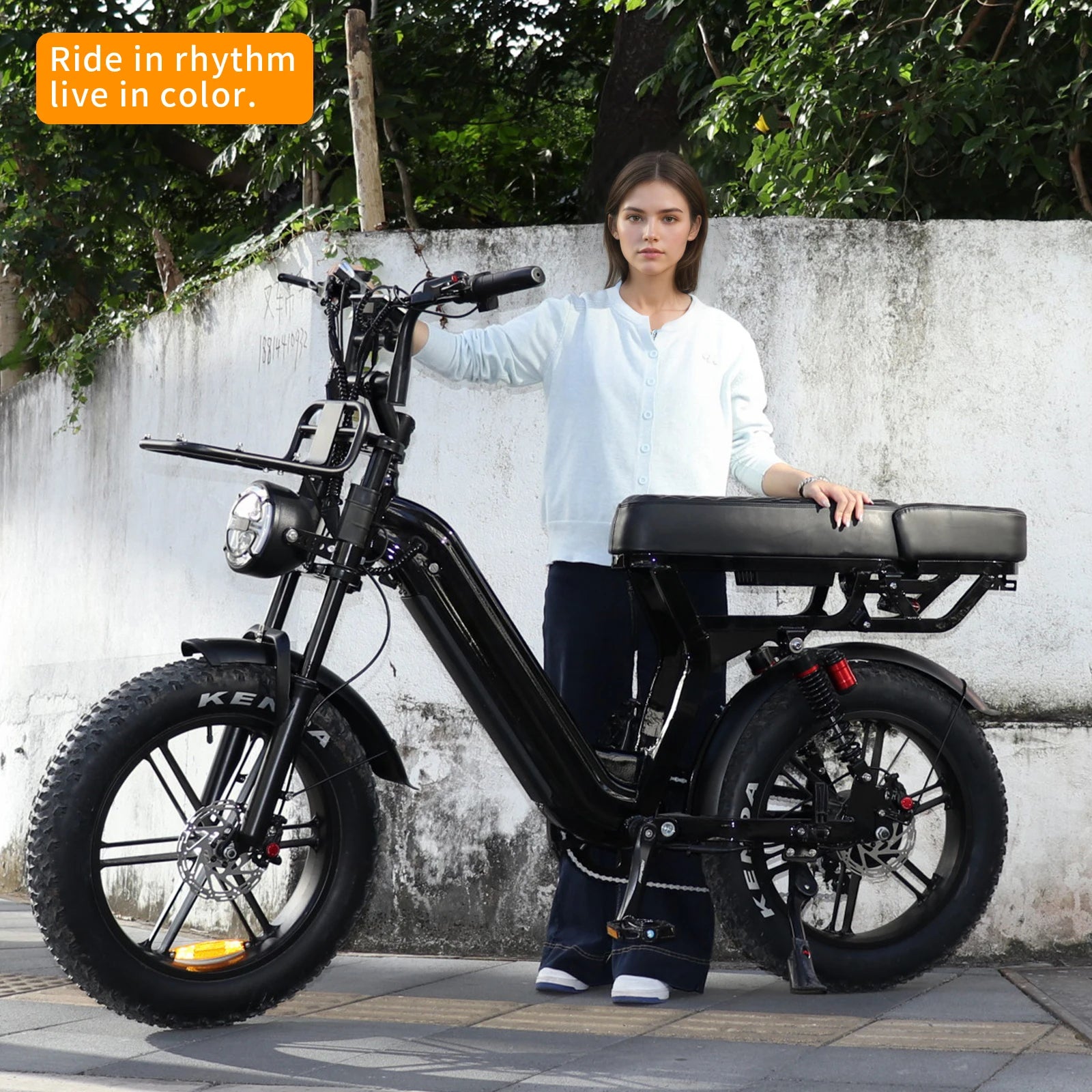 Vélo Électrique VTT 250W 48V