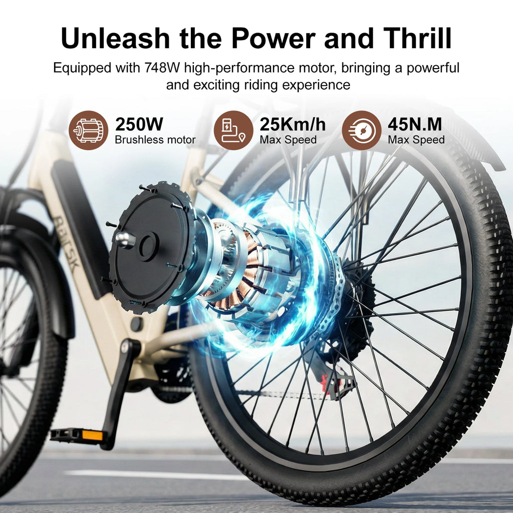 Vélo Électrique Aairsk 250W  36V 13Ah