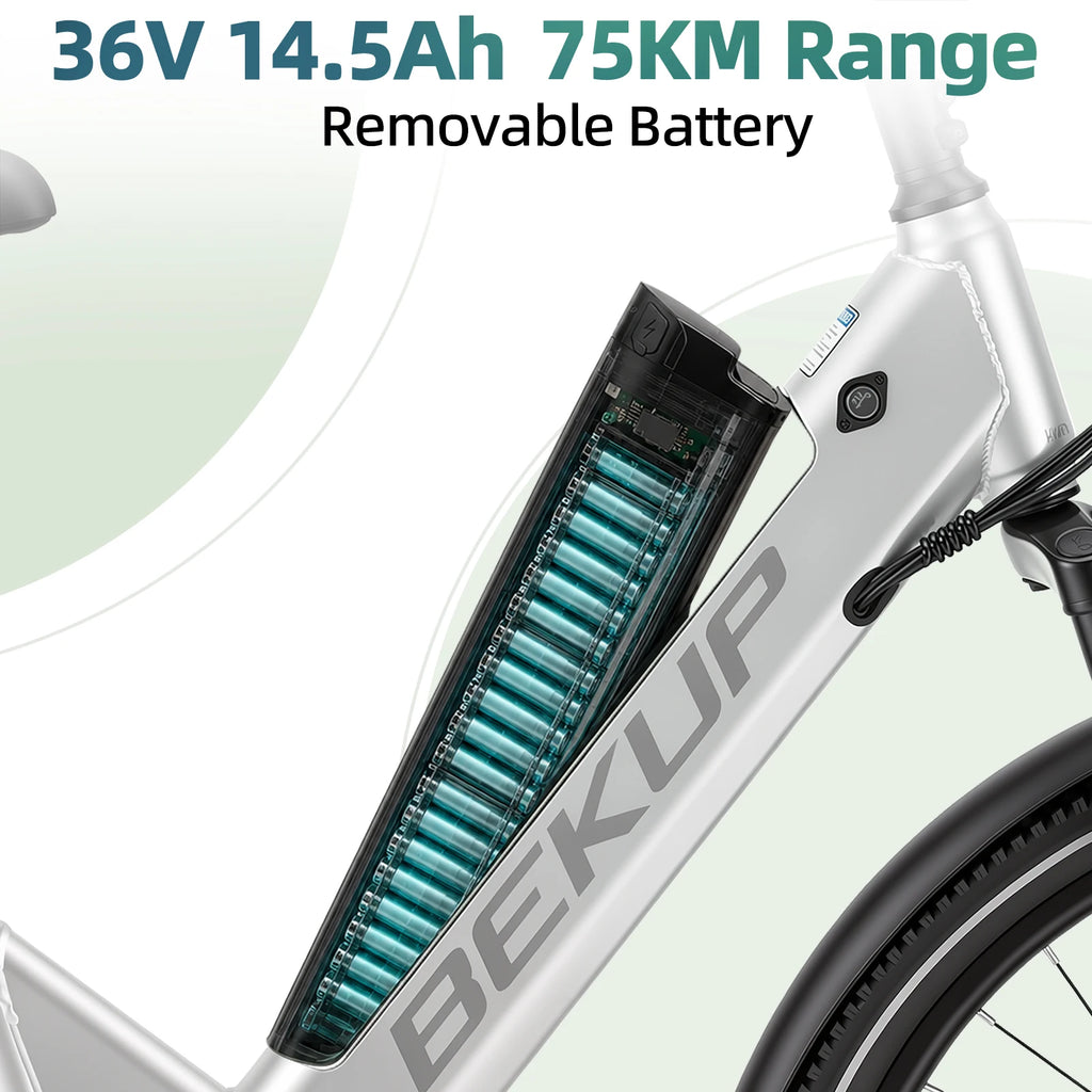 Vélo Électrique Bekup V1 – 250W