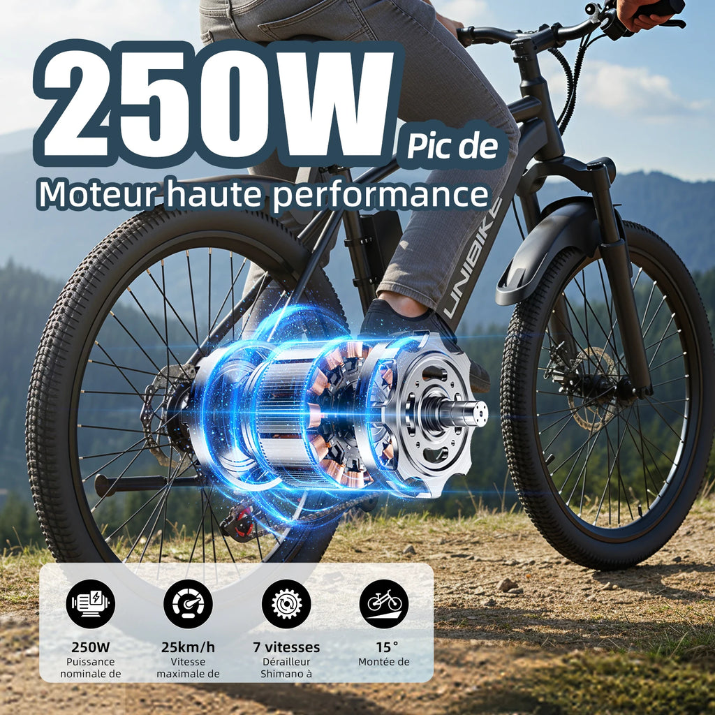 Vélo Électrique Aairsk Q7  250W |