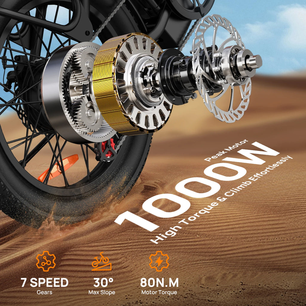 Vélo Électrique Fat Bike Urlife E20 – 1000W