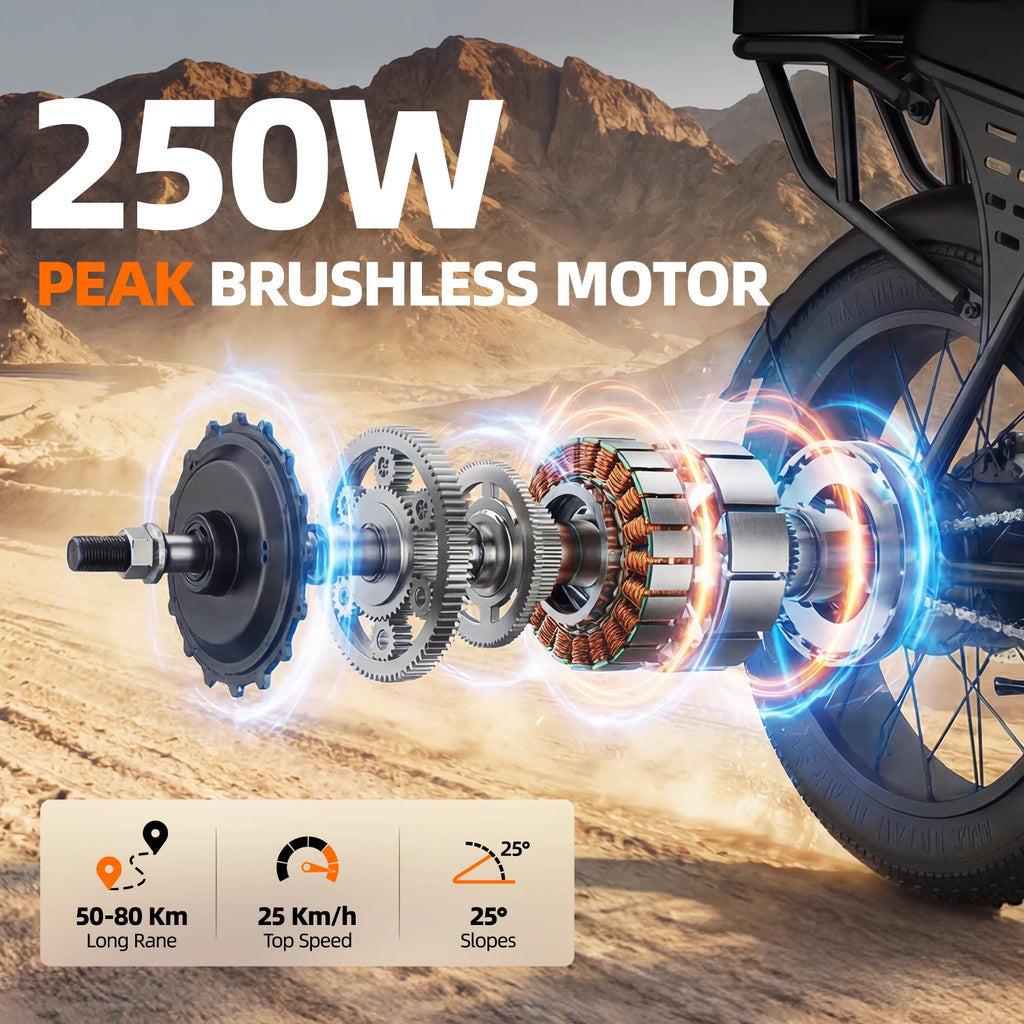 Vélo Électrique Aairsk 250W