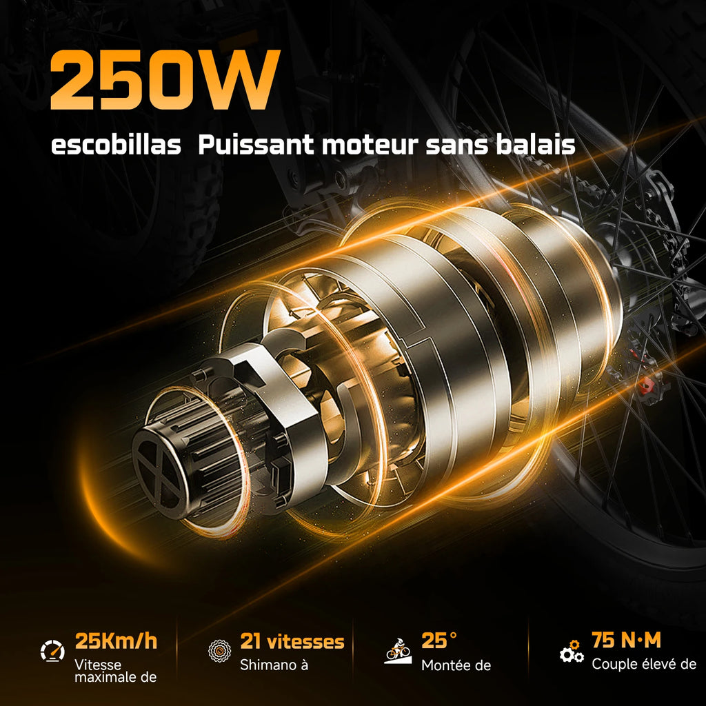 Vélo électrique tout-terrain Aairsk XT90  26" | 250W