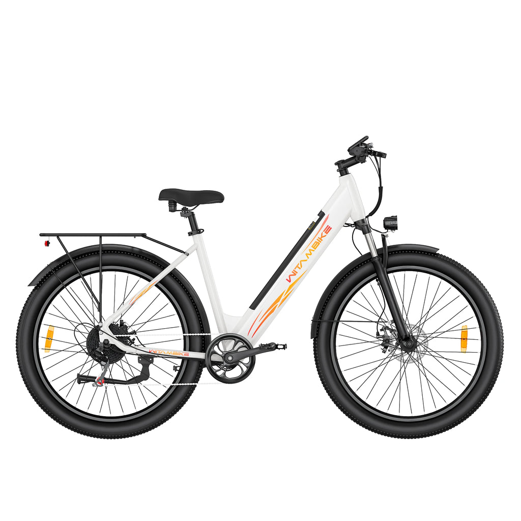 Vélo électrique WITAMBIKE W28 29" Fat Tire  250W