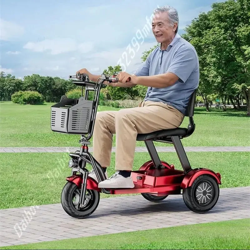 Tricycle électrique pliant Daibot 1000W | 48V 20Ah |