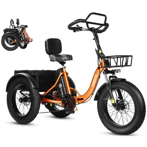 Tricycle Électrique Cargo Pliable ESKUTE T302 Pro | 48V  250W