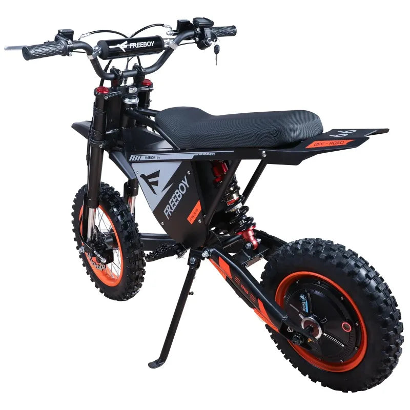 Moto électrique tout-terrain FREEBOY Y66  3000W