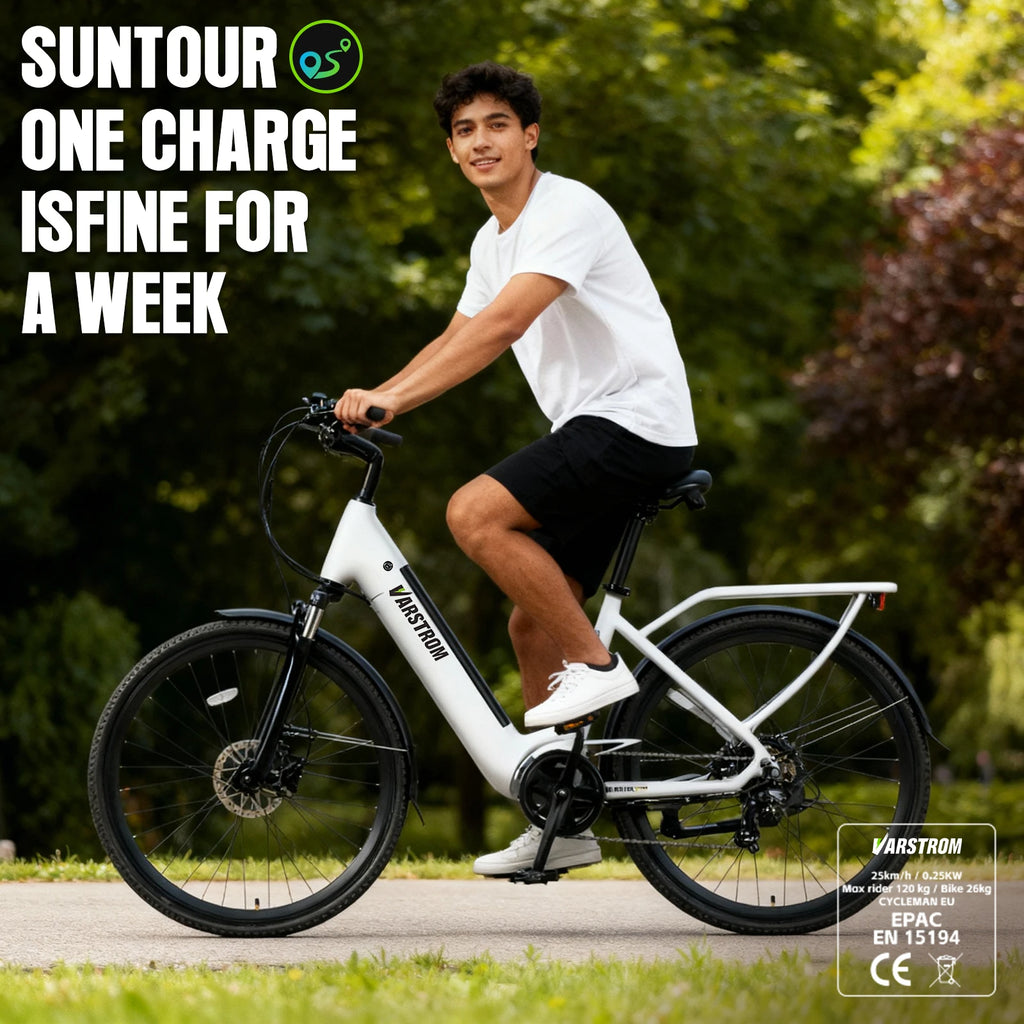 Vélo Électrique Urbain 28" – Moteur 250W