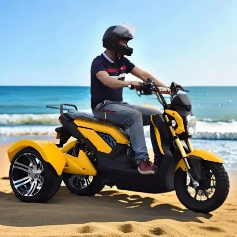 Tricycle Électrique 72V 1000W