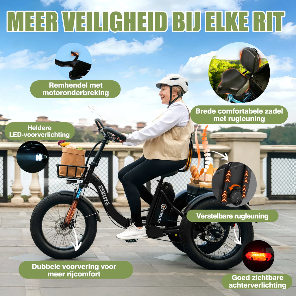 Tricycle Électrique Cargo ESKUTE T302 Pro  48V 250W