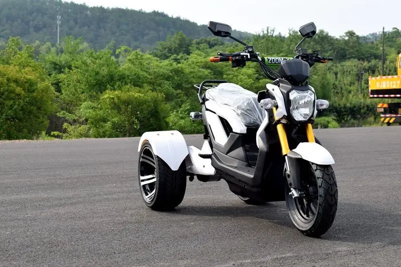 Tricycle Électrique 72V 1000W
