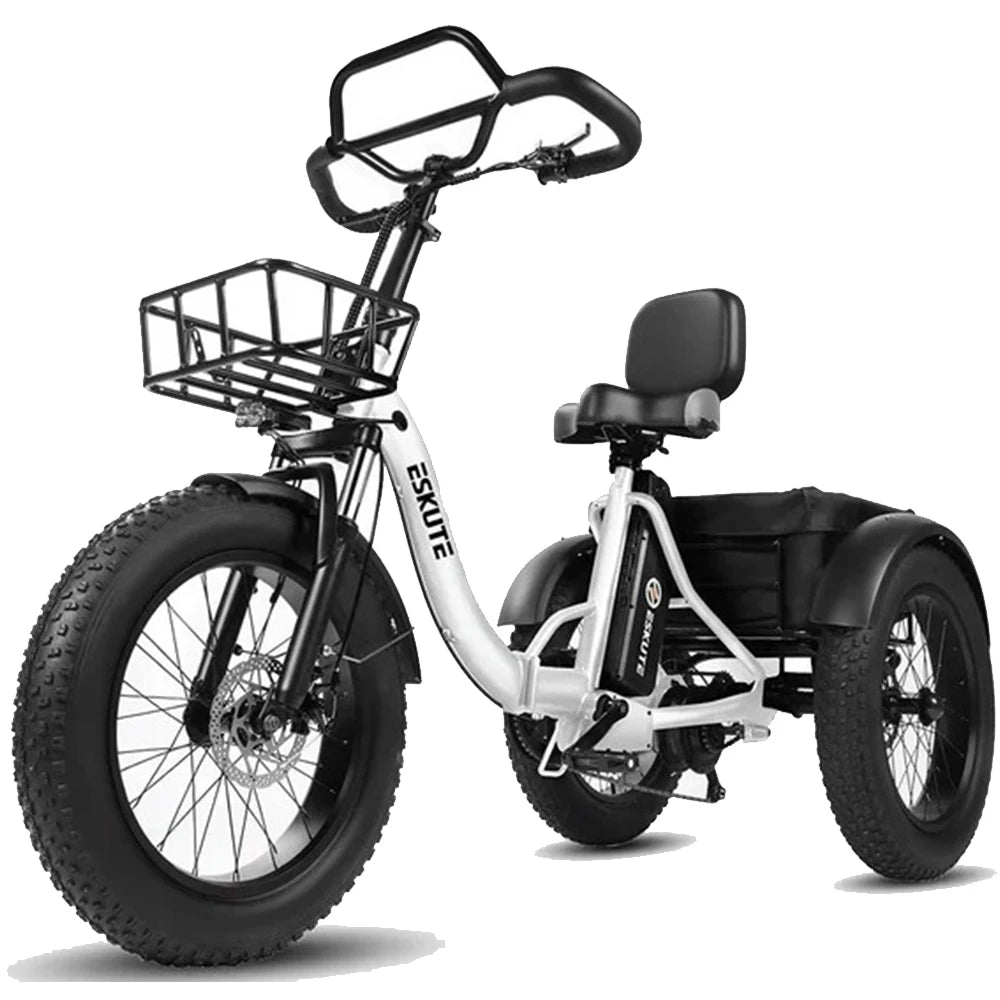 Tricycle Électrique Cargo ESKUTE T302 Pro | 48V 250W