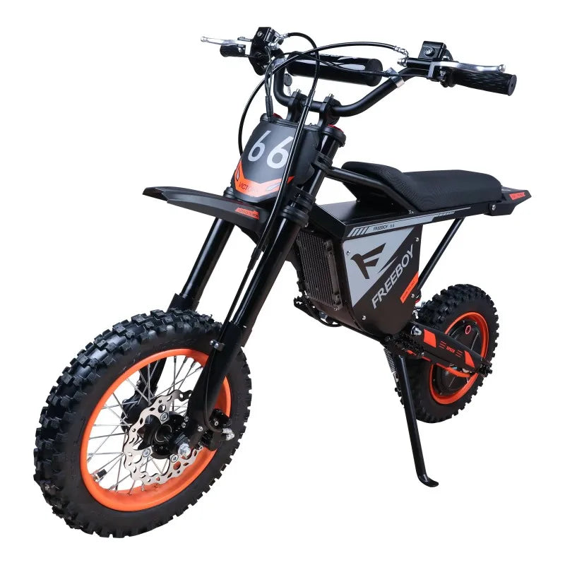Moto électrique tout-terrain FREEBOY Y66  3000W