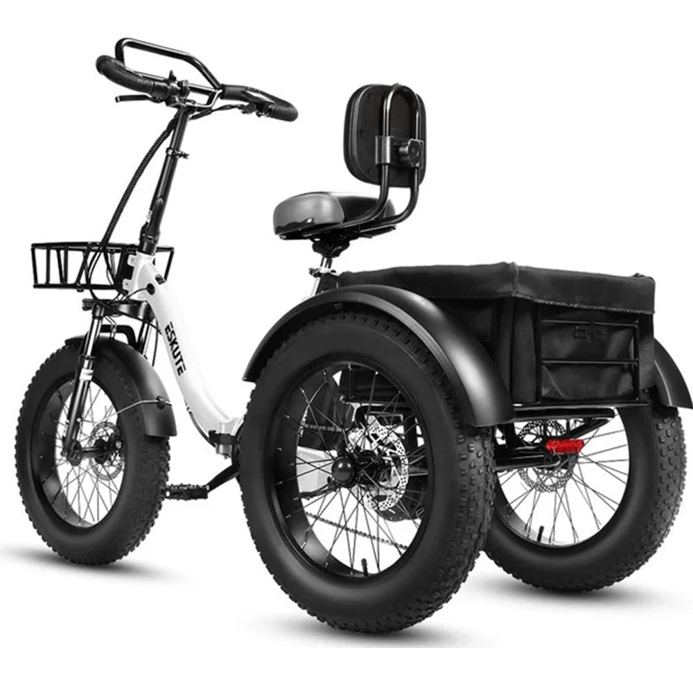 Tricycle Électrique Cargo ESKUTE T302 Pro | 48V 250W
