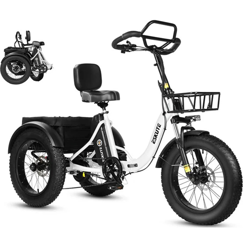 Tricycle Électrique Cargo ESKUTE T302 Pro | 48V 250W