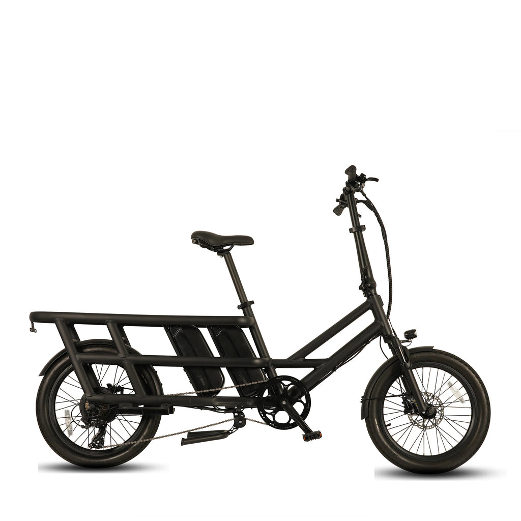 Vélo Électrique Cargo Longue Selle 500W 48V20Ah – 20 Pouces, Multifonctionnel