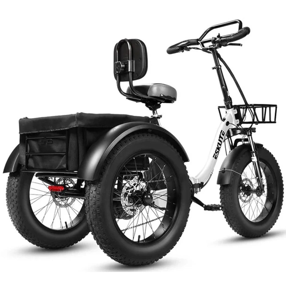 Tricycle Électrique Cargo ESKUTE T302 Pro | 48V 250W