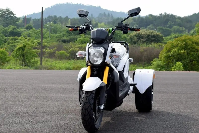 Tricycle Électrique 72V 1000W