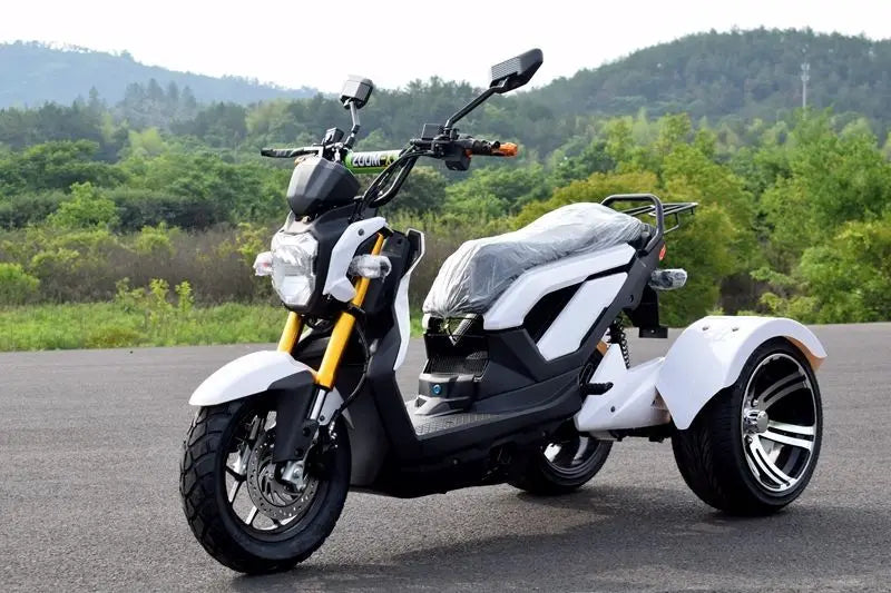 Tricycle Électrique 72V 1000W