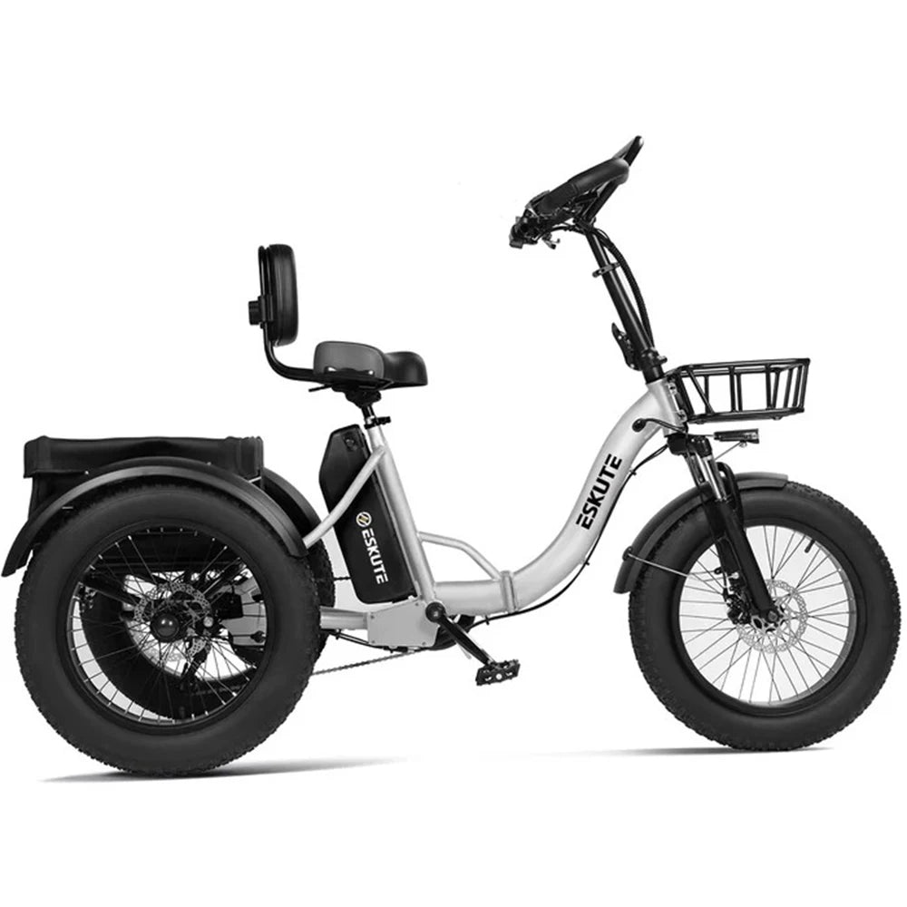 Tricycle Électrique Cargo ESKUTE T302 Pro | 48V 250W