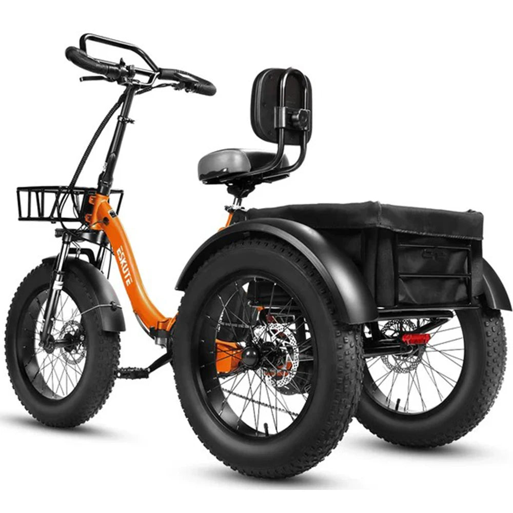 Tricycle Électrique Cargo Pliable ESKUTE T302 Pro | 48V  250W
