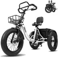 Tricycle Électrique Cargo ESKUTE T302 Pro | 48V 250W
