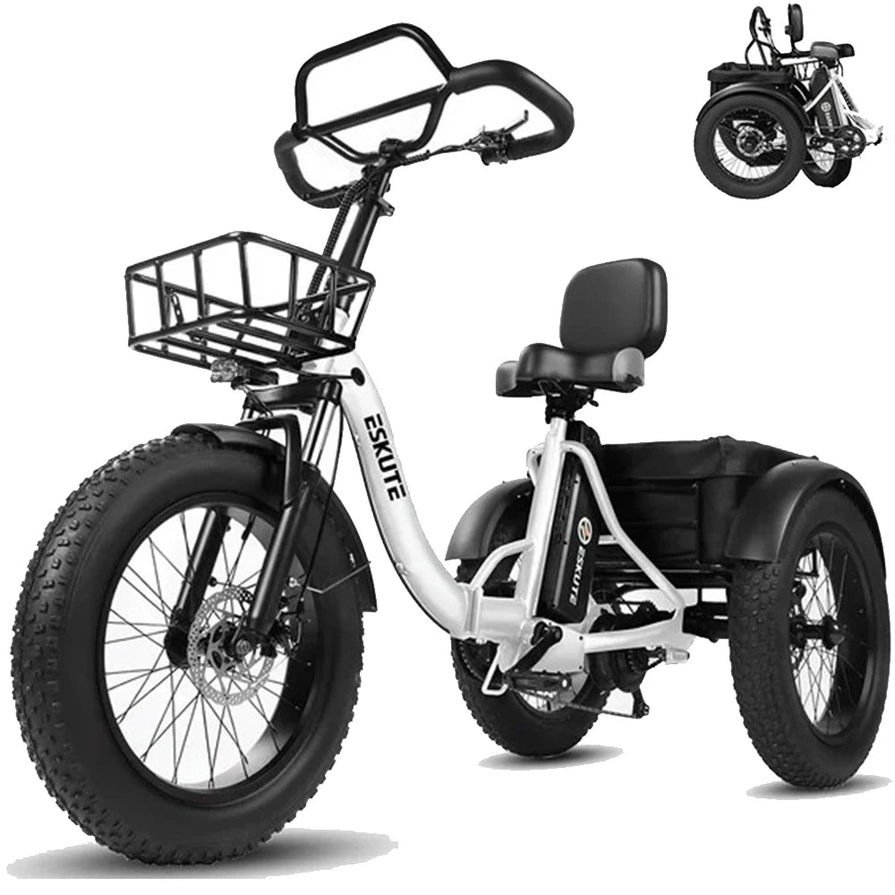 Tricycle Électrique Cargo ESKUTE T302 Pro | 48V 250W