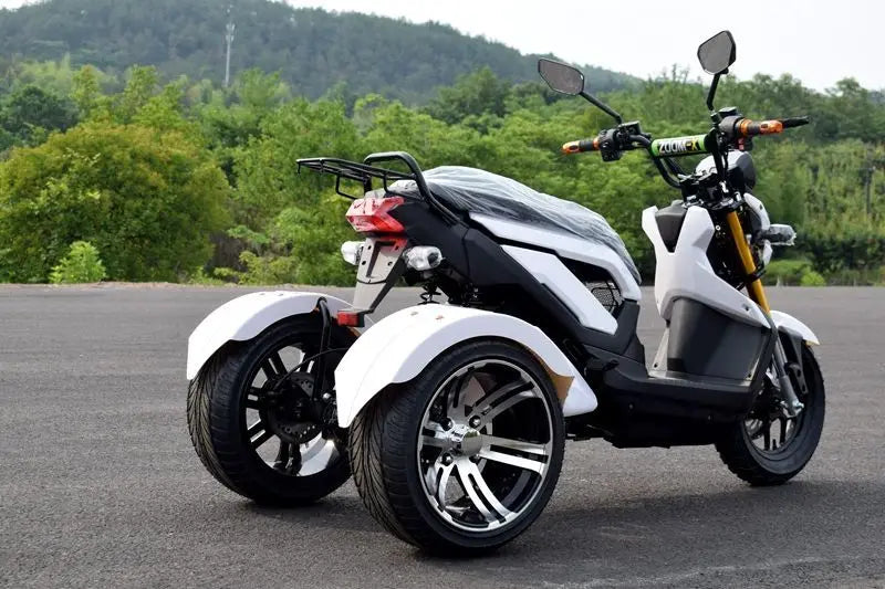 Tricycle Électrique 72V 1000W