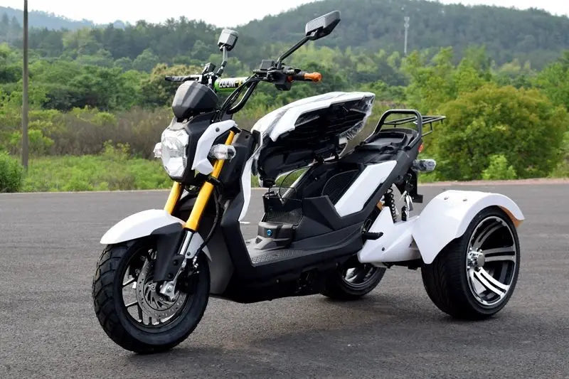 Tricycle Électrique 72V 1000W