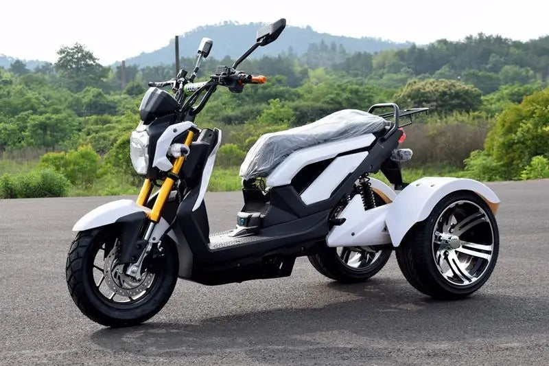 Tricycle Électrique 72V 1000W