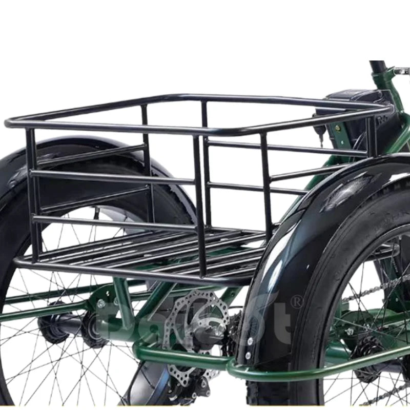 Tricycle Électrique Daibot Tout-Terrain 750W 48V
