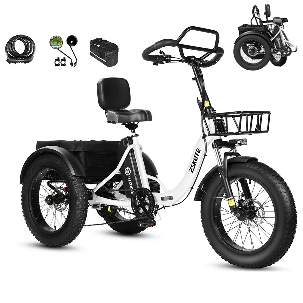 Tricycle Électrique Cargo ESKUTE T302 Pro | 48V 250W