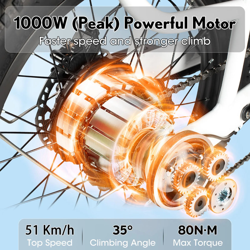 Vélo Électrique Cargo PHILODO Traveller  1000W