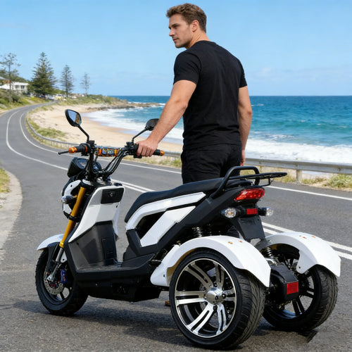 Tricycle Électrique 72V 1000W