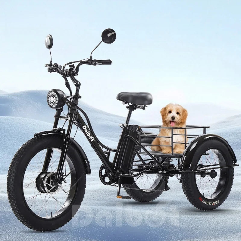 Tricycle Électrique Daibot Tout-Terrain 750W 48V