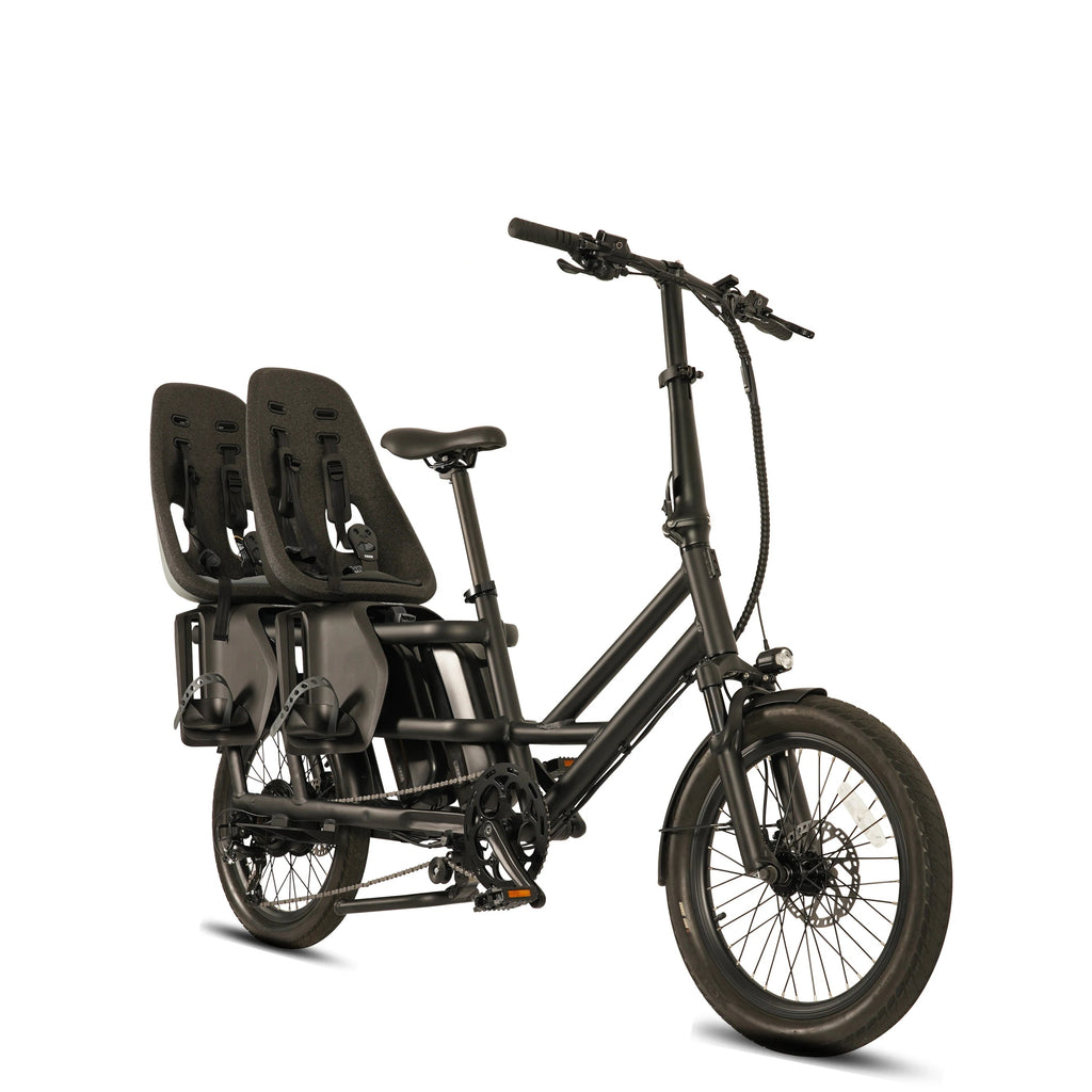 Vélo Électrique Cargo Longue Selle 500W 48V20Ah – 20 Pouces, Multifonctionnel