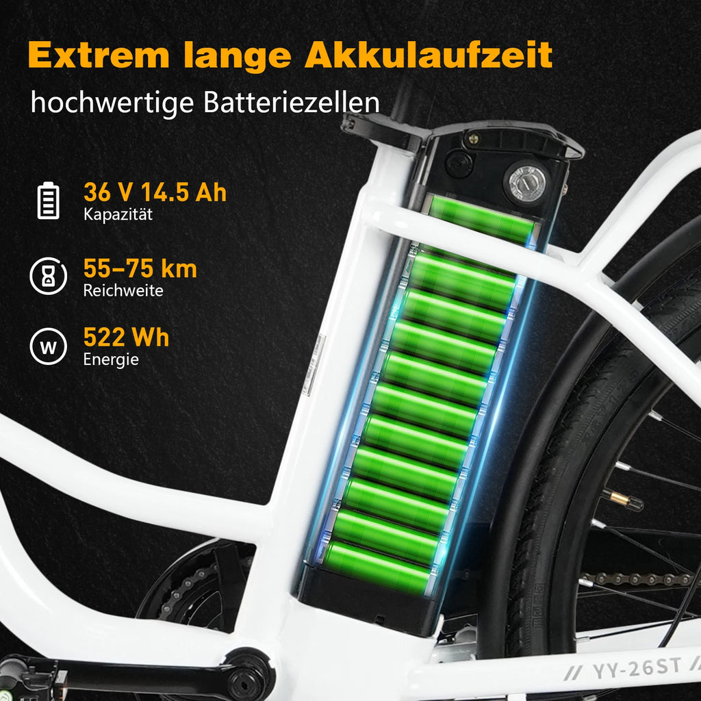 Vélo électrique TTGO YY-26ST 26"  250W