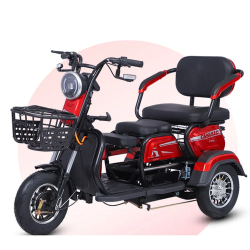 Tricycle électrique 3 roues Daibot | 1000W | 60V 20Ah