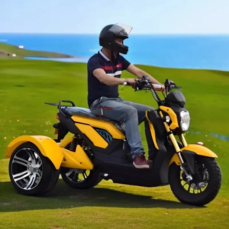 Tricycle Électrique 72V 1000W