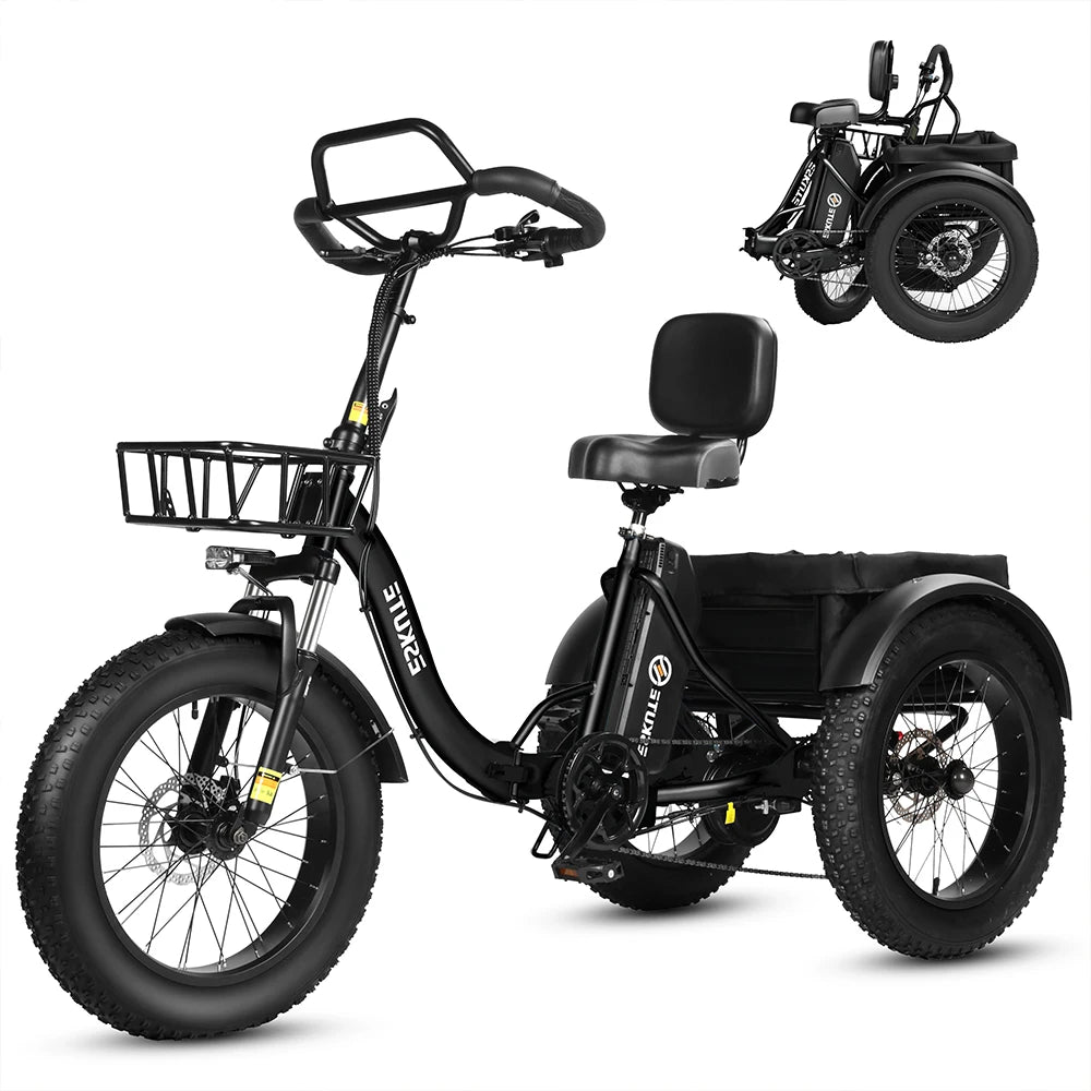 Tricycle Électrique Cargo ESKUTE T302 Pro  48V 250W