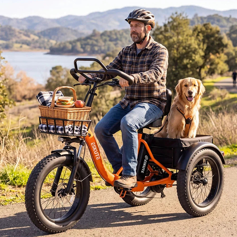 Tricycle Électrique Cargo Pliable ESKUTE T302 Pro | 48V  250W