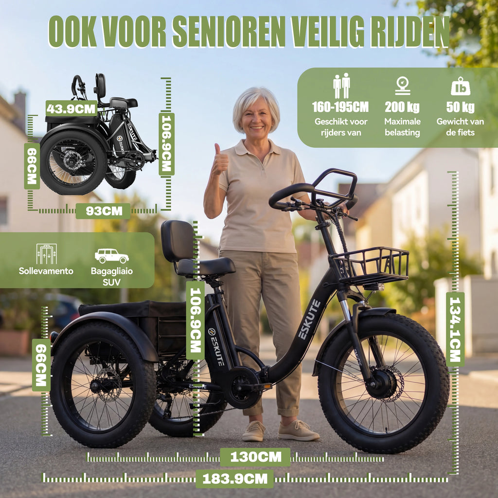Tricycle Électrique Cargo ESKUTE T302 Pro  48V 250W