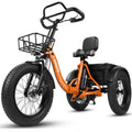 Tricycle Électrique Cargo Pliable ESKUTE T302 Pro | 48V  250W