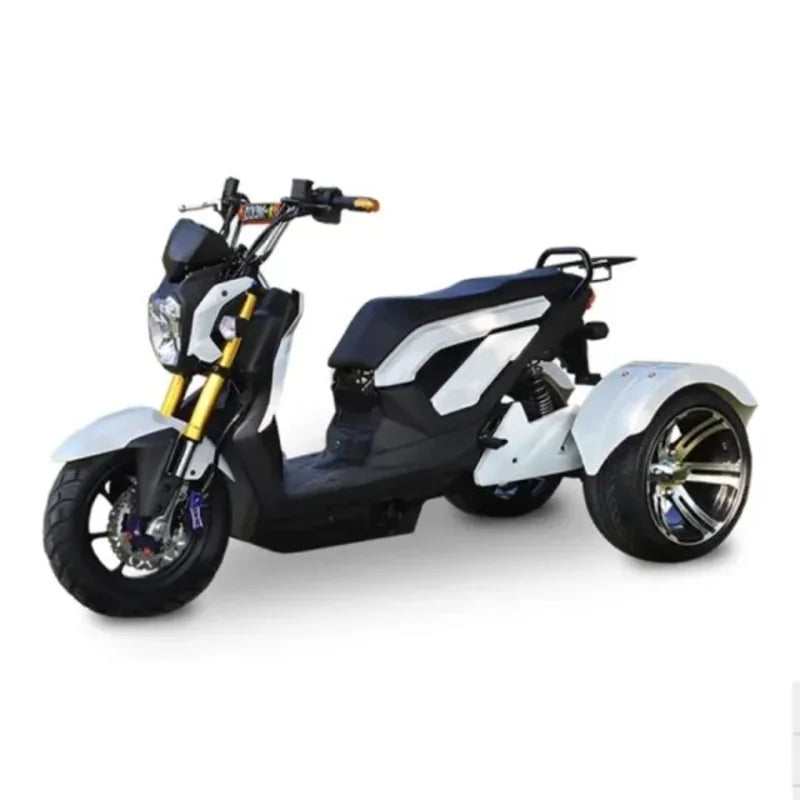 Tricycle Électrique 72V 1000W