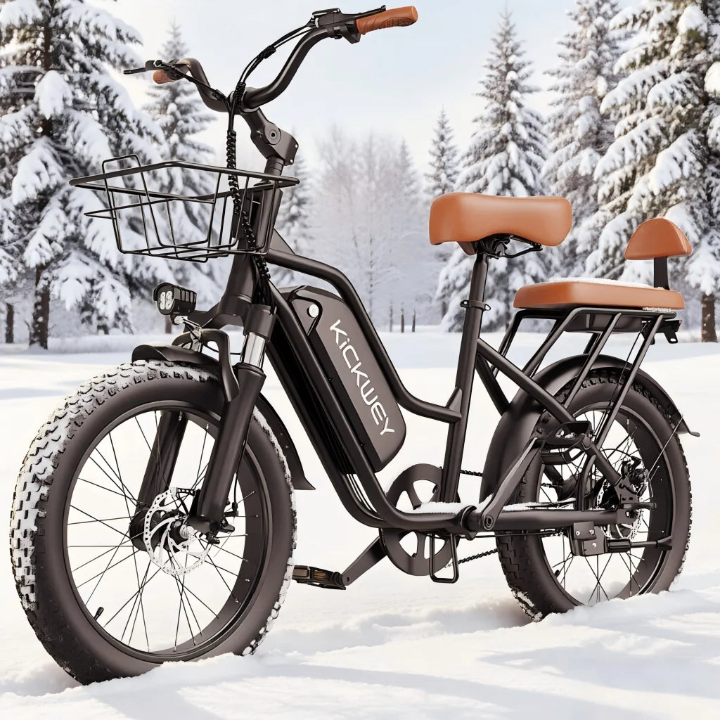Vélo Électrique KICKWEY LD20  1500W | Double Siège