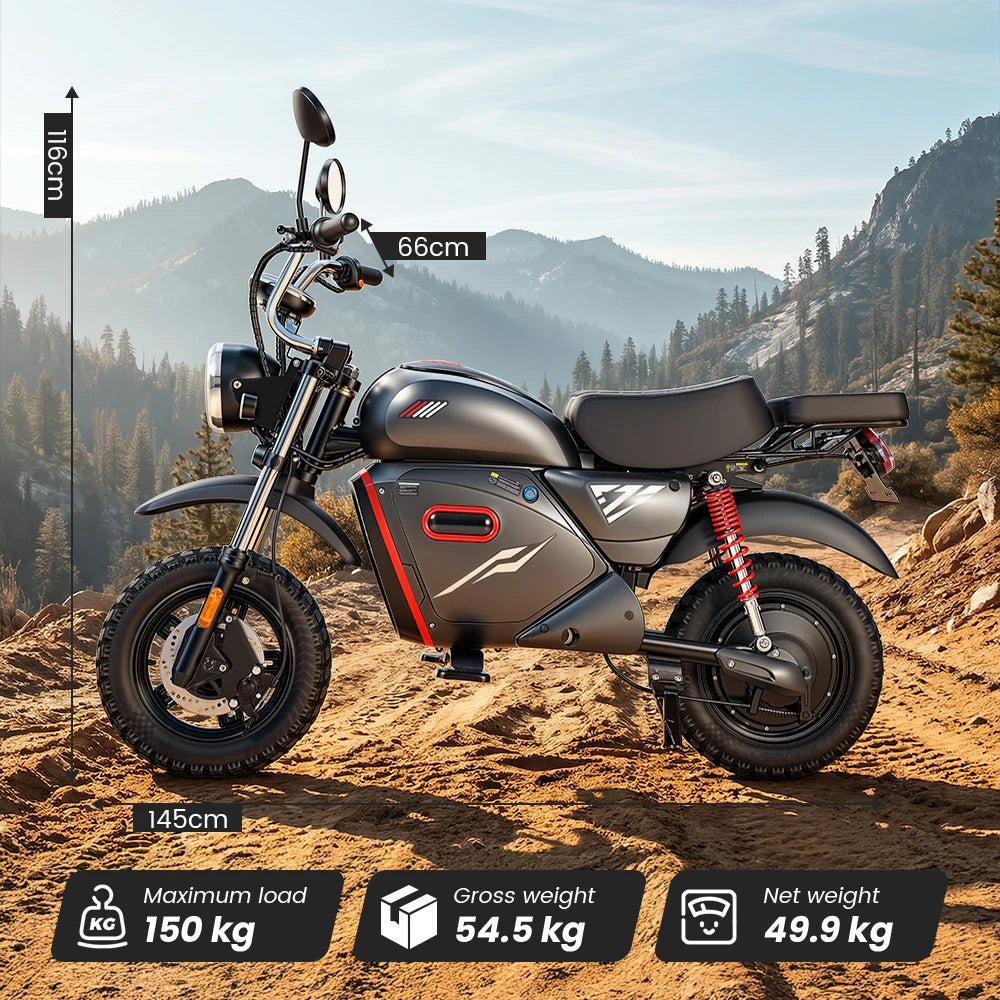 Fast bike  Y18 | 48V 20Ah | 2000W | Tout-Terrain |