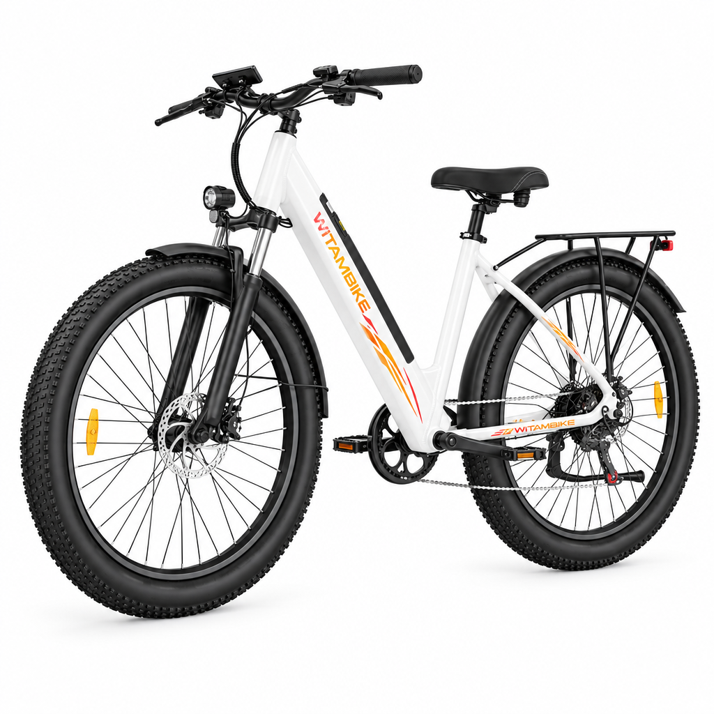 WITAMBIKE W28 29" Fat Tire Elektrofahrrad 250W